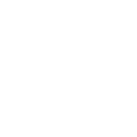 Scottish Gymnastics Logo White (002)